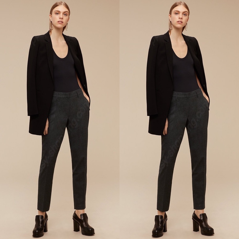 Aritzia Babaton pants